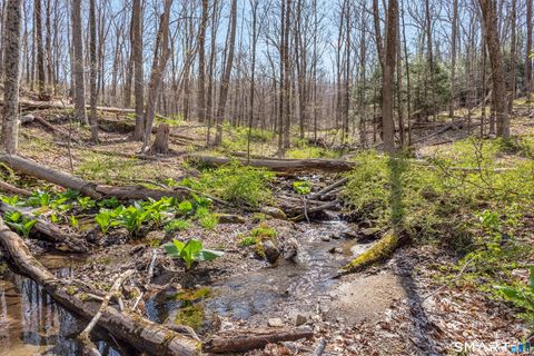 Tiny photo for 204 North Street #Lot 3, Roxbury, CT 06783 (MLS # 24139288)