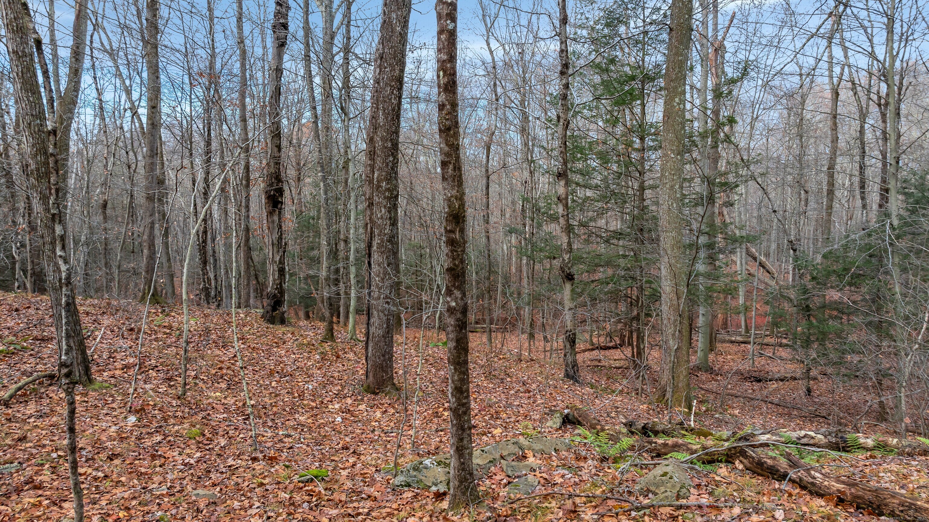 204 North Street Lot 3