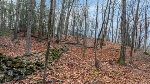 Tiny photo for 204 North Street #Lot 3, Roxbury, CT 06783 (MLS # 24139288)