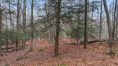 Tiny photo for 204 North Street #Lot 3, Roxbury, CT 06783 (MLS # 24139288)