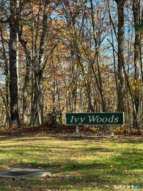 87 Buff Cap Road Tolland CT 06084