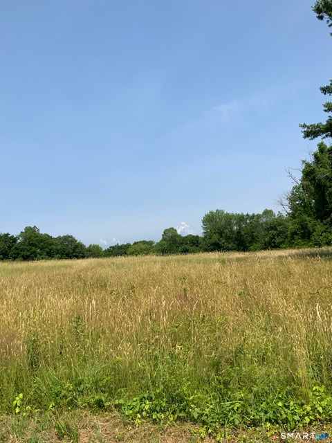 Photo of 174 Prospect Street, Suffield, CT 06078 (MLS # 24212347)
