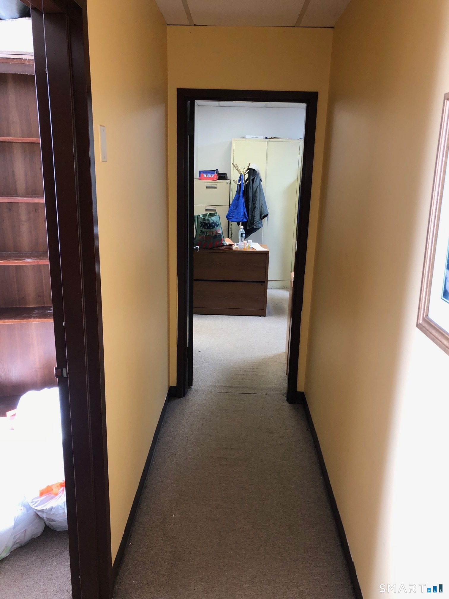 57 North Street STE 313