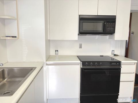 Tiny photo for 30 Wooster Heights, Danbury, CT 06810 (MLS # 24162670)