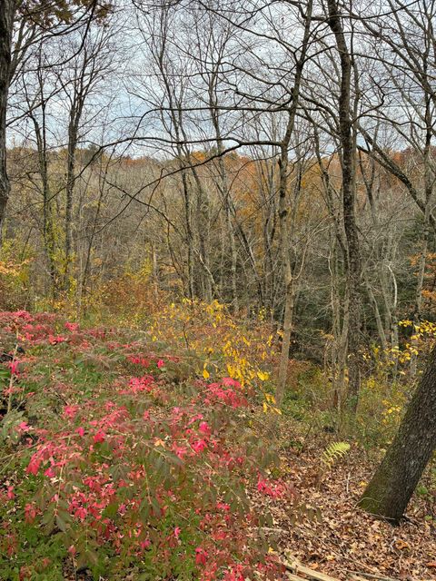 Tiny photo for 202 Cemetery Road, Canterbury, CT 06331 (MLS # 24136057)