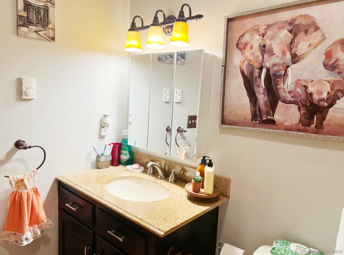 26 Mohican Lane, Bristol, Connecticut image 10