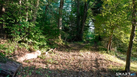 Tiny photo for 303 Riverside Drive, Thompson, CT 06277 (MLS # 24196428)