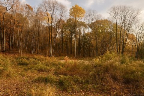 Tiny photo for 574 Oxford Road, Oxford, CT 06478 (MLS # 24136248)