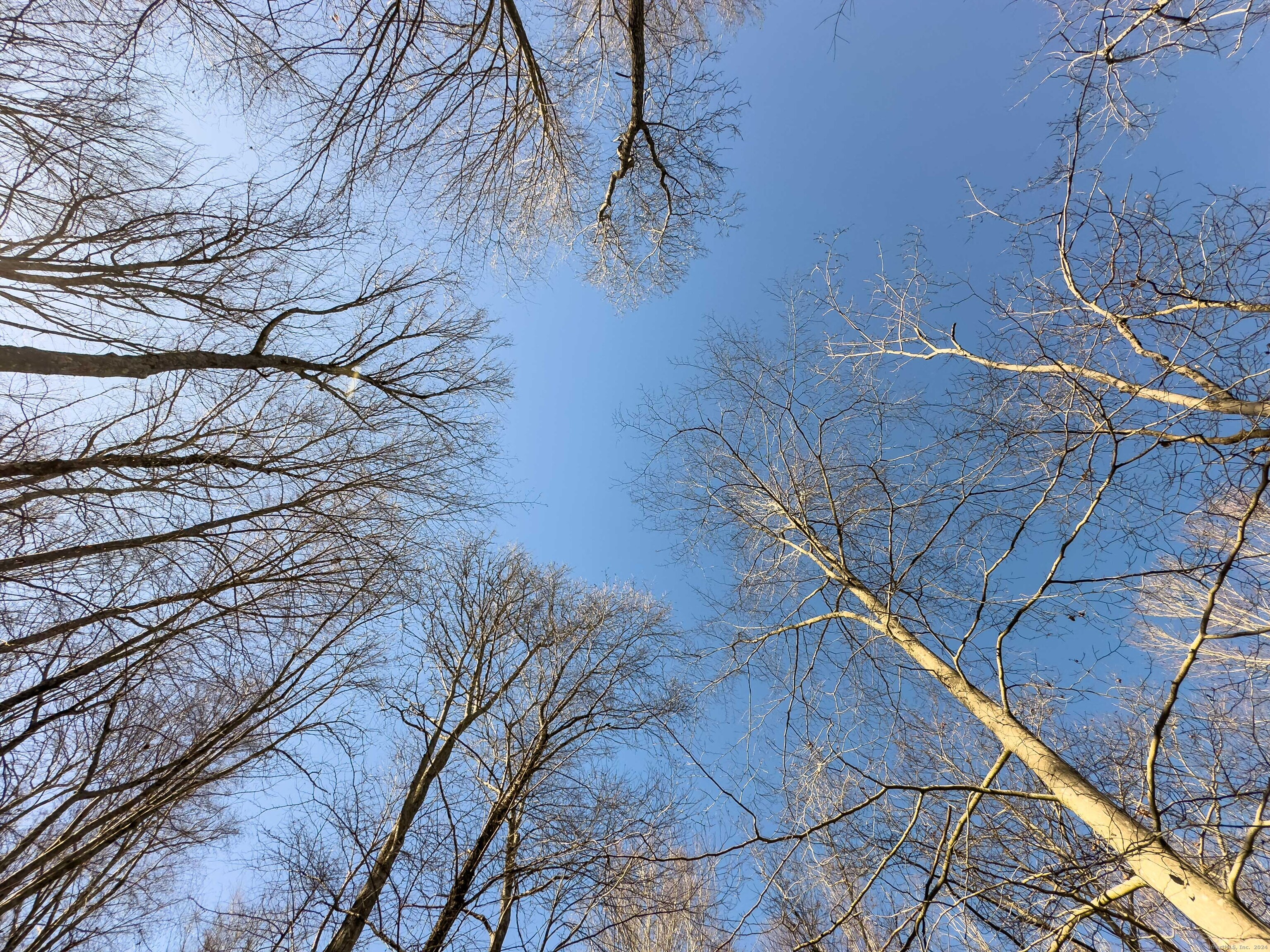 Ballahack Road, East Haddam, Connecticut image 8
