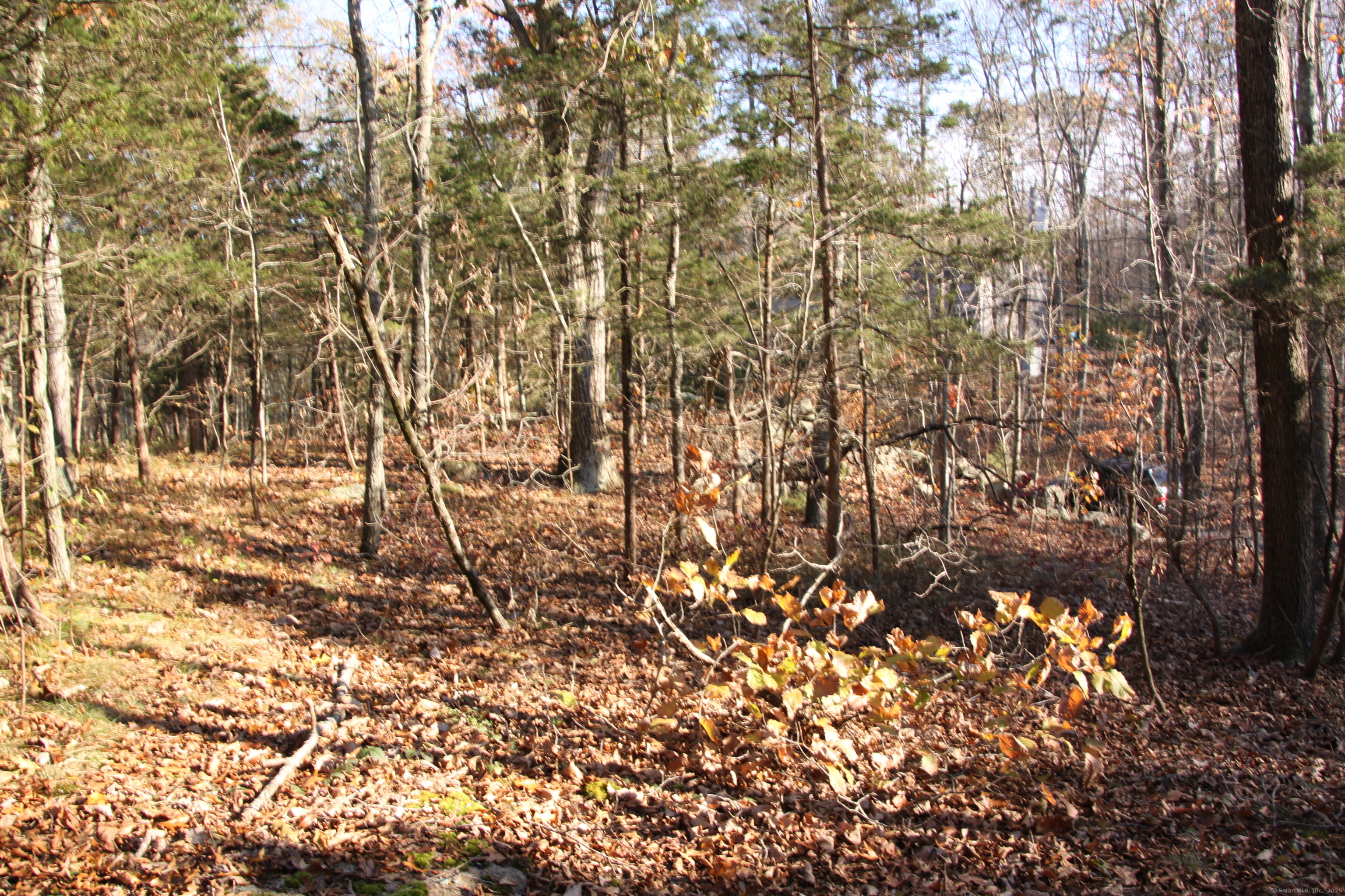 Moose Hill Road Map 77 Lot 35-2 Road, Guilford, Connecticut image 11