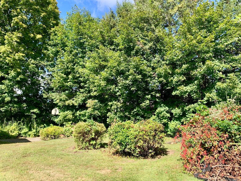 Photo of 5 Green Avenue, Danbury, CT 06810 (MLS # 24143196)