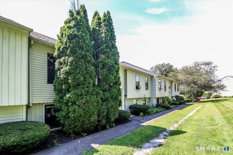 Tiny photo for 171 Aspetuck Village #171, New Milford, CT 06776 (MLS # 24146064)