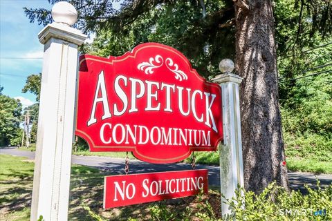 Tiny photo for 171 Aspetuck Village #171, New Milford, CT 06776 (MLS # 24146064)