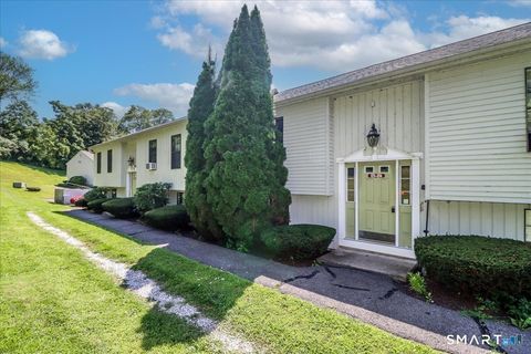 Tiny photo for 171 Aspetuck Village #171, New Milford, CT 06776 (MLS # 24146064)