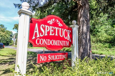 Tiny photo for 171 Aspetuck Village #171, New Milford, CT 06776 (MLS # 24146064)