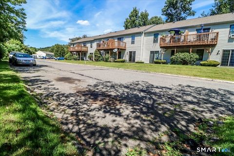 Tiny photo for 171 Aspetuck Village #171, New Milford, CT 06776 (MLS # 24146064)