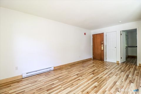 Tiny photo for 171 Aspetuck Village #171, New Milford, CT 06776 (MLS # 24146064)