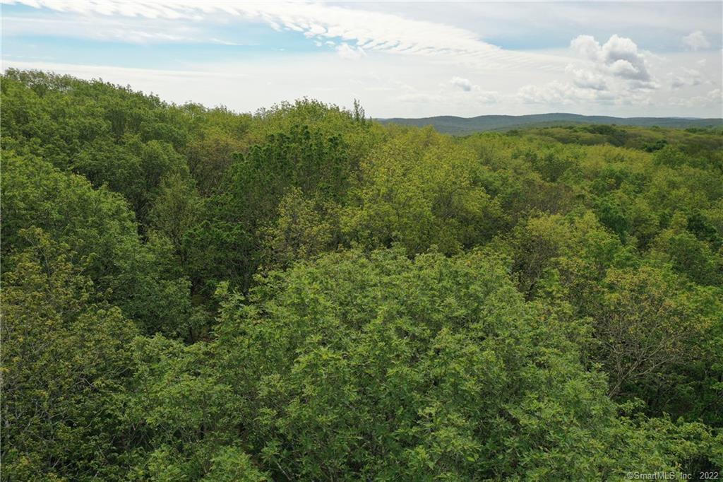 376 Cornwall Bridge Road, Sharon, Connecticut image 4