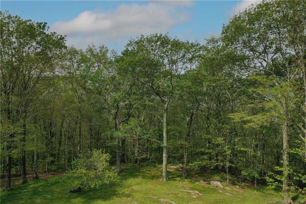 376 Cornwall Bridge Road, Sharon, Connecticut image 5