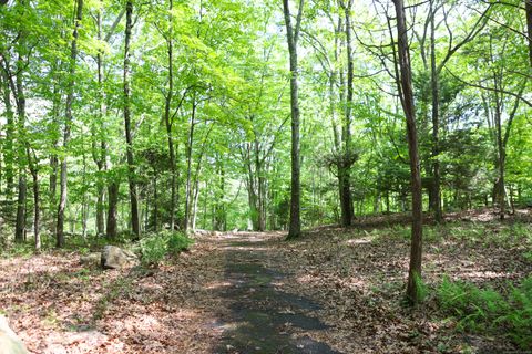 Tiny photo for 134 Meadow Woods Road, Deep River, CT 06417 (MLS # 24152510)