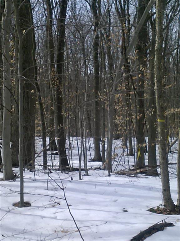 Photo 1 of 1 of 495 Wickham Road land