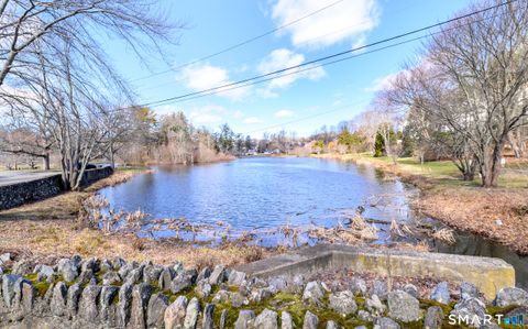 Tiny photo for 244 Park Street #244, New Canaan, CT 06840 (MLS # 24176565)