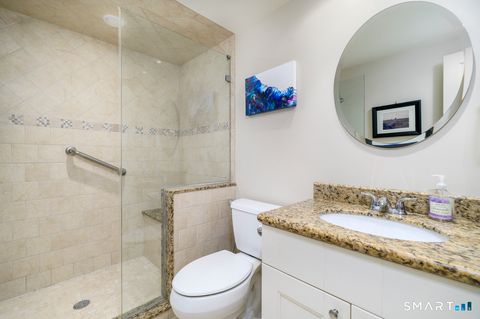 Tiny photo for 244 Park Street #244, New Canaan, CT 06840 (MLS # 24176565)