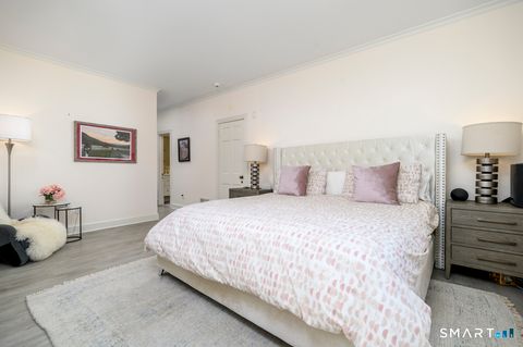 Tiny photo for 244 Park Street #244, New Canaan, CT 06840 (MLS # 24176565)