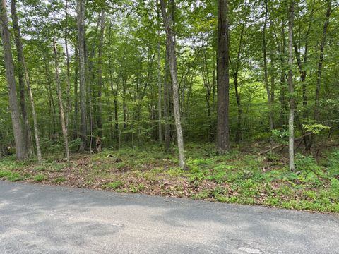 Tiny photo for 0 Wheeling Road, Andover, CT 06232 (MLS # 24116879)