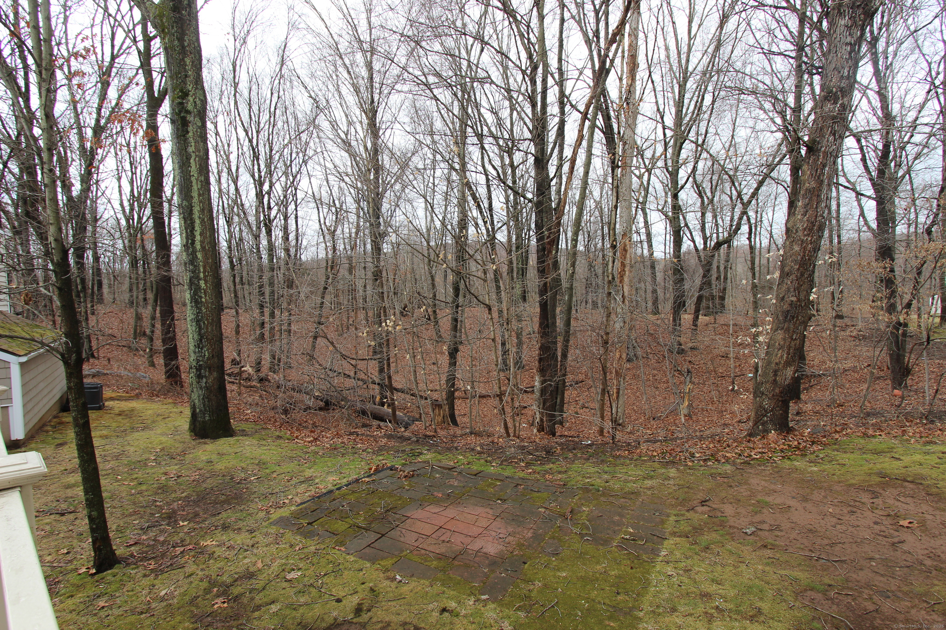 13 Currier Place #13, Cheshire, Connecticut image 31