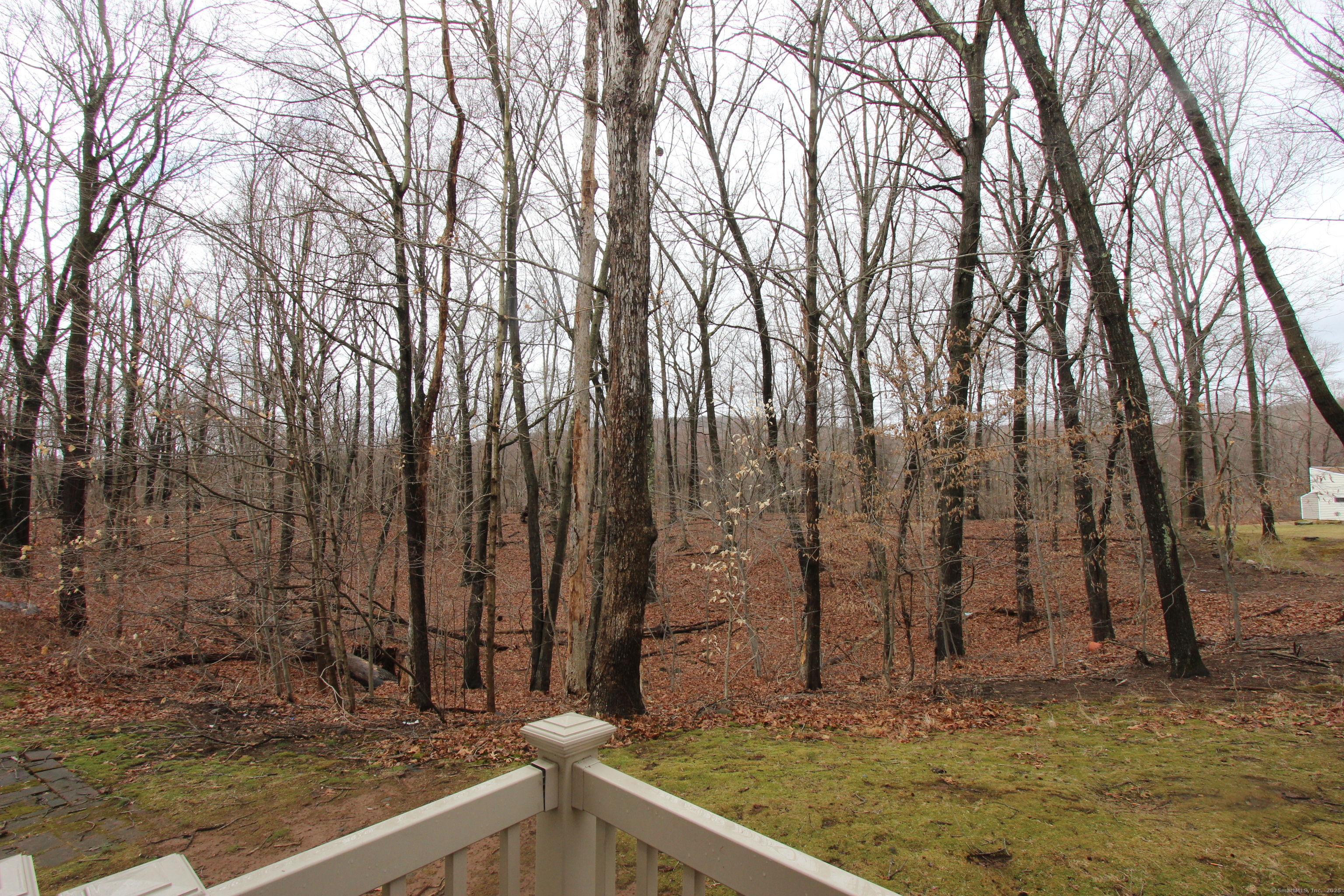 13 Currier Place #13, Cheshire, Connecticut image 28