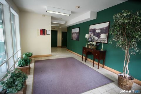 Tiny photo for 309 Whetstone Mills #309, Killingly, CT 06241 (MLS # 24172841)