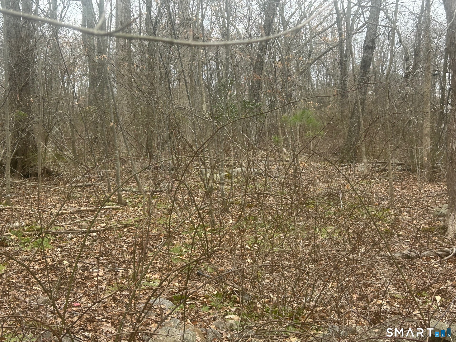 14 Juniper Drive 13,14