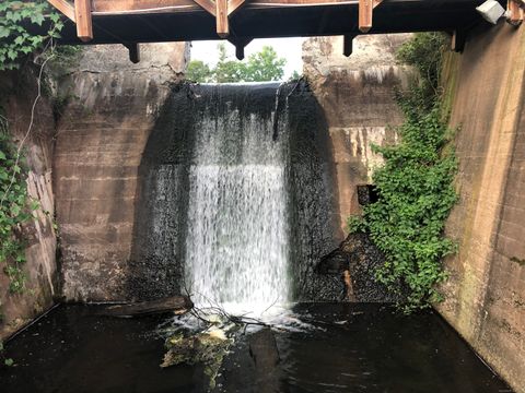 Tiny photo for 222 Williams Street E #APT 102, Glastonbury, CT 06033 (MLS # 24141529)