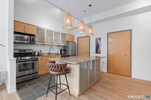 Tiny photo for 10 Ann Street #209, Norwalk, CT 06854 (MLS # 24192186)