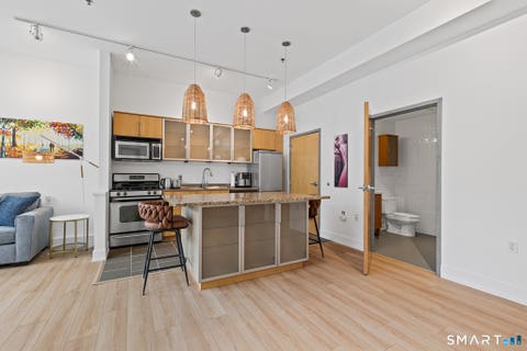 Tiny photo for 10 Ann Street #209, Norwalk, CT 06854 (MLS # 24192186)