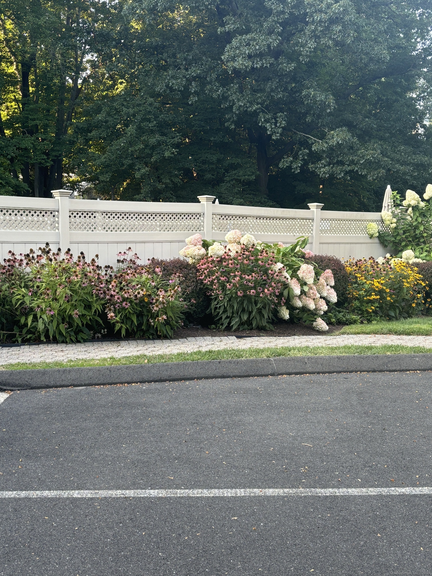 1113 Foxboro Drive #1113, Norwalk, Connecticut image 19