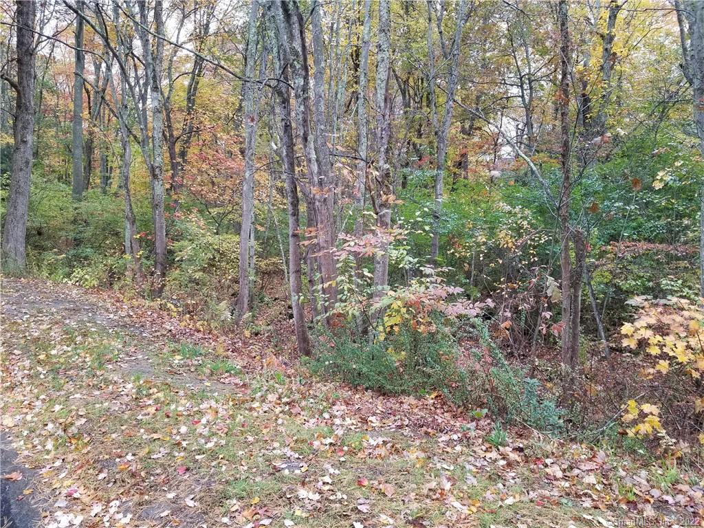 Photo 1 of Brick Kiln Road, Harwinton, Connecticut, $55,000, Web #: 170514120