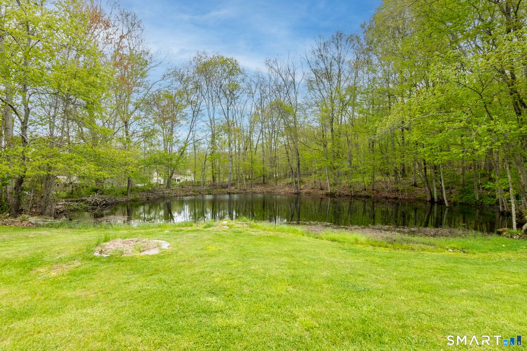 Photo of 129 N Bear Hill Road, Chaplin, CT 06235 (MLS # 24174493)
