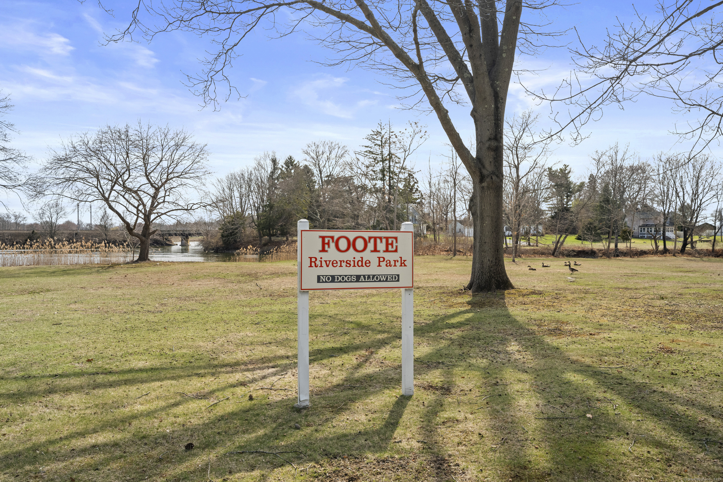 16 Pine Orchard Road #APT 38, Branford, Connecticut image 33