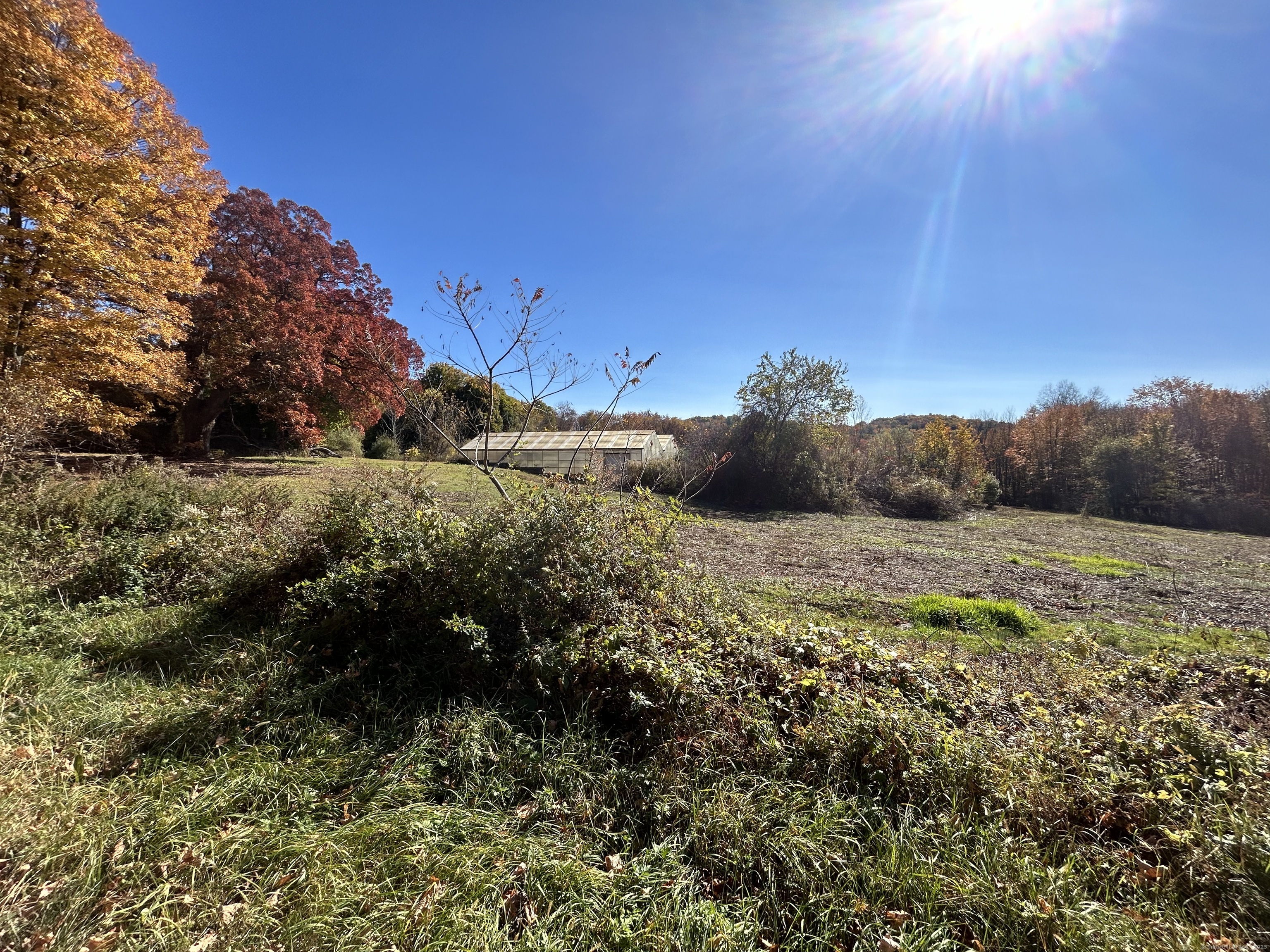 21 Newgate Road, East Granby, Connecticut image 5
