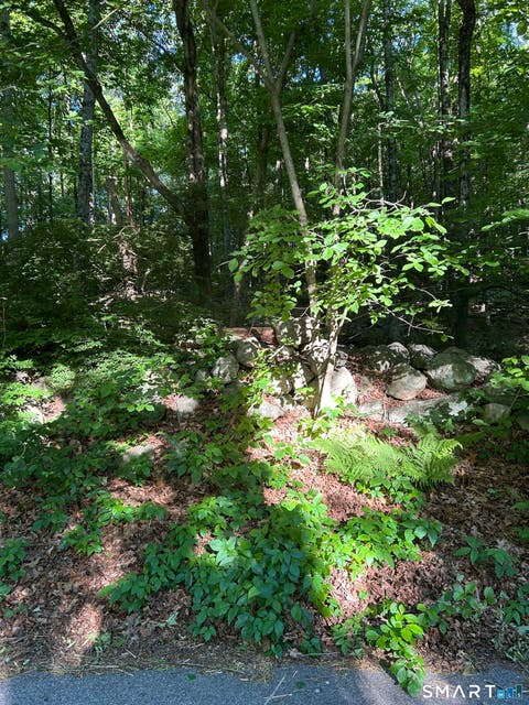 Vacant Land For Sale - Cobbs Mill Road<br/> Fairfield County, Wilton, CT 06897