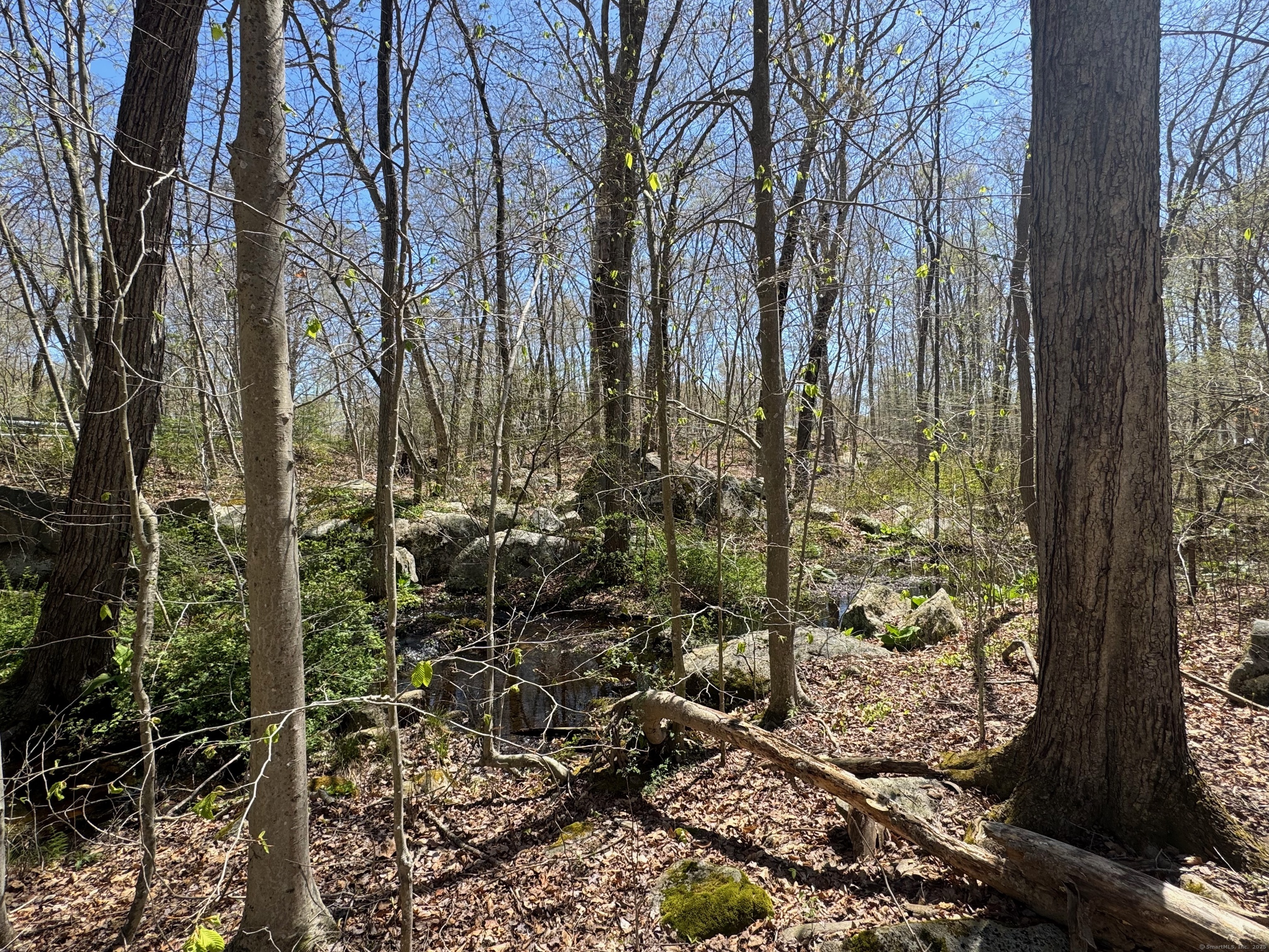 78 & 80 Airline Road, Clinton, Connecticut image 2