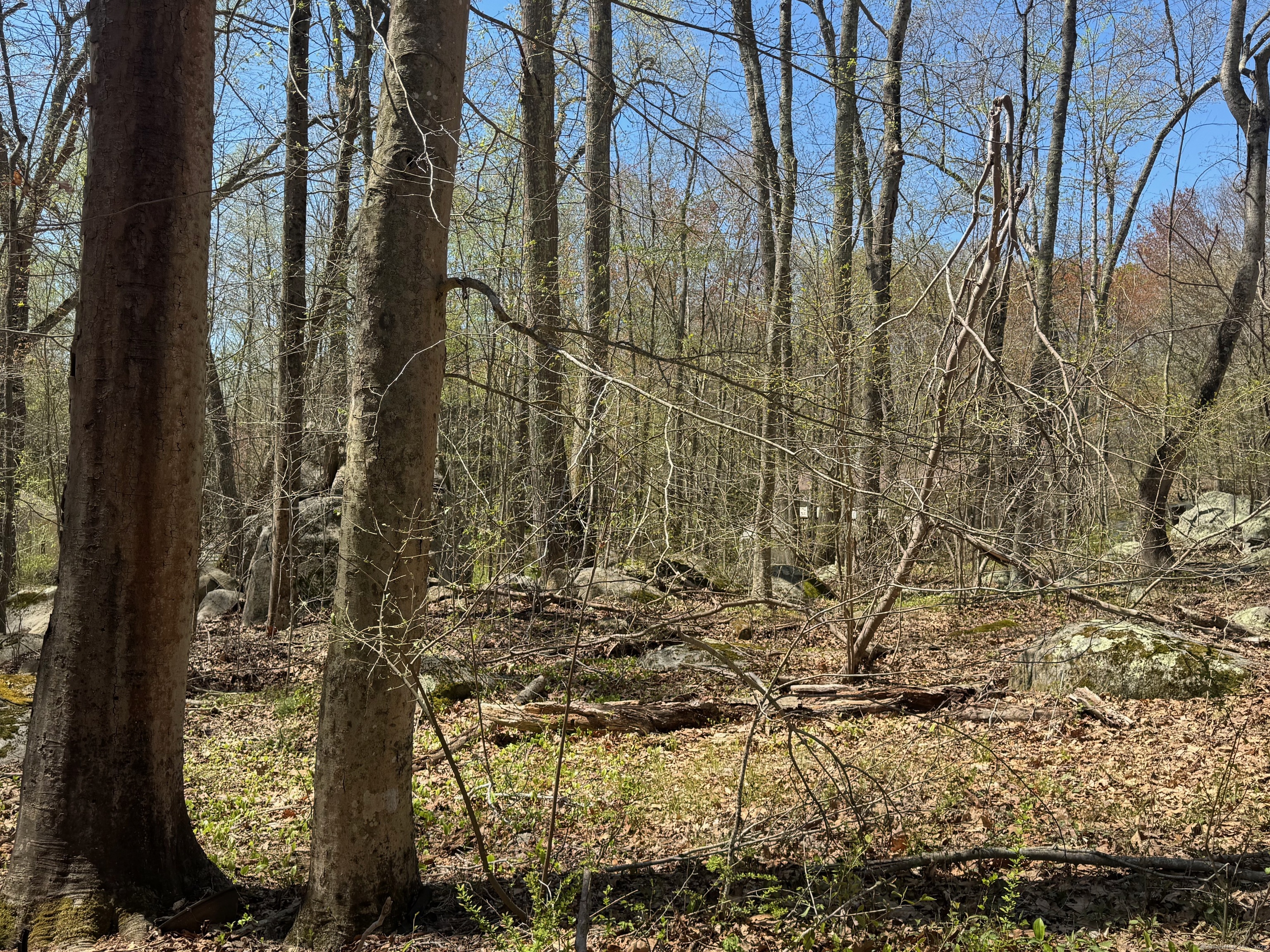 78 & 80 Airline Road, Clinton, Connecticut image 7
