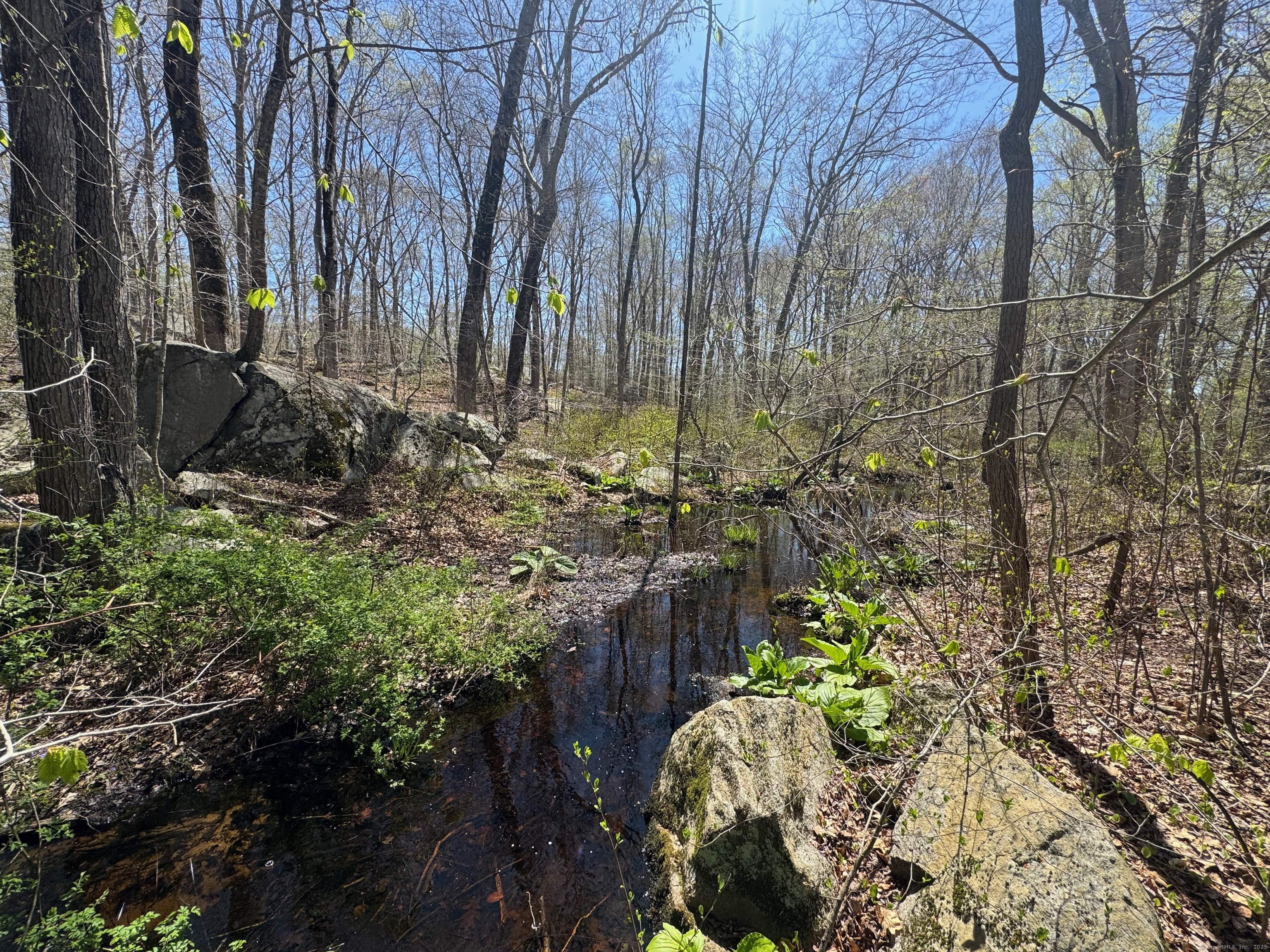 78 & 80 Airline Road, Clinton, Connecticut image 3