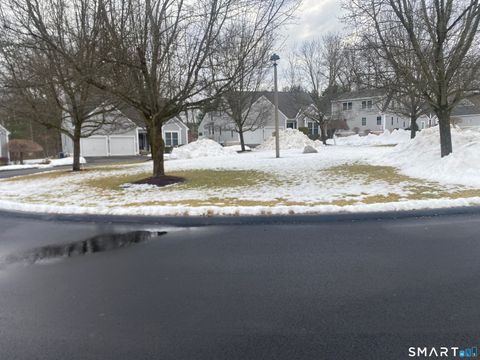 Tiny photo for 36 Buckland Street #19, Southington, CT 06479 (MLS # 24148225)