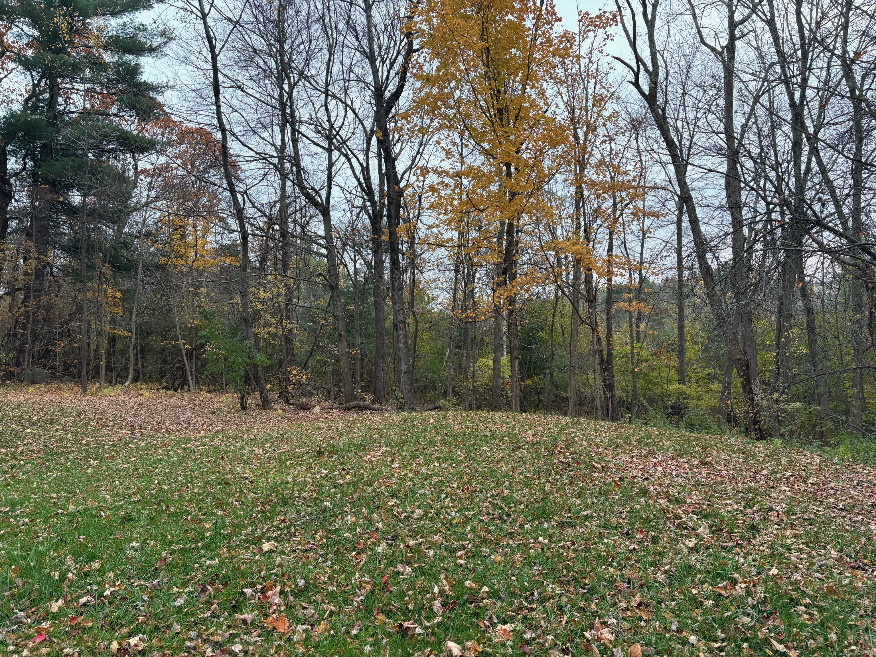 2195 Torringford Street