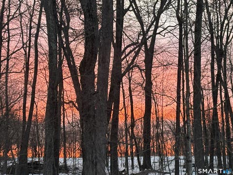 Tiny photo for 290 Ference Road, Ashford, CT 06278 (MLS # 24197449)
