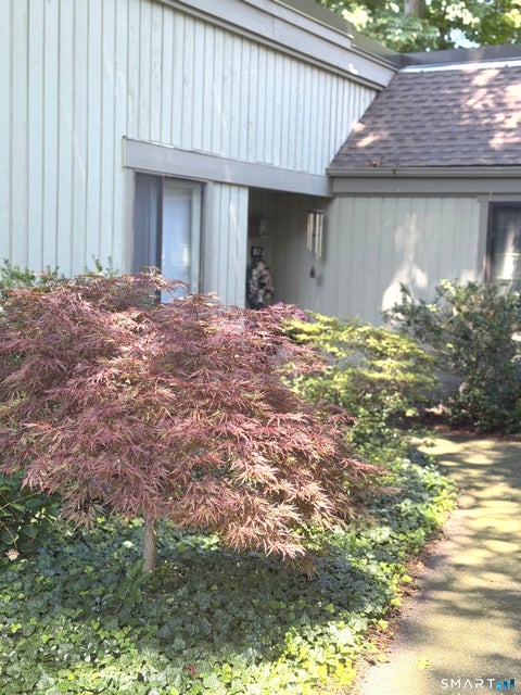 Tiny photo for 857 Heritage Village #A, Southbury, CT 06488 (MLS # 24200789)