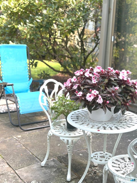 Tiny photo for 857 Heritage Village #A, Southbury, CT 06488 (MLS # 24200789)